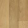   Sprint Pro Montreal 1 Tarkett (   1 )