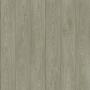  Triumph Noble Oak 1 Tarkett (   1 )